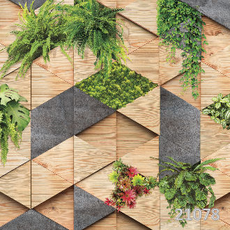 Массаулина Людмила — Фитостена