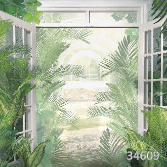 Вид на оранжерею