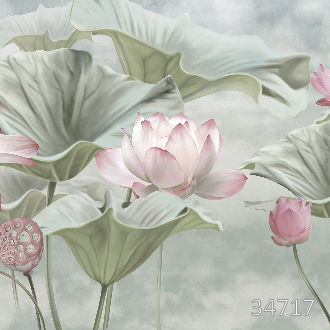 Распустившиеся лотосы