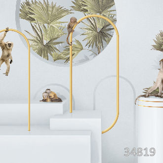 Monkeys in the dimension