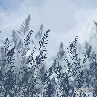 Попутный ветер